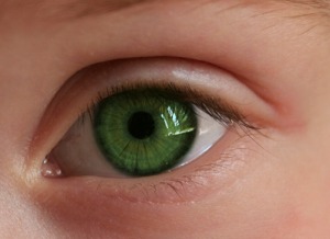 ochi-verde